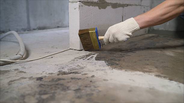 24/7 Emergency Crawl Space Encapsulation experts in Hamilton, MI
